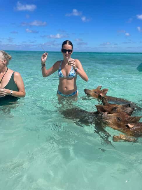 Nassau: 3-Island Snorkel Tour with Pigs, Beach Club, & Lunch - Gilligan’s Island stop: more reef time, more chances to see life