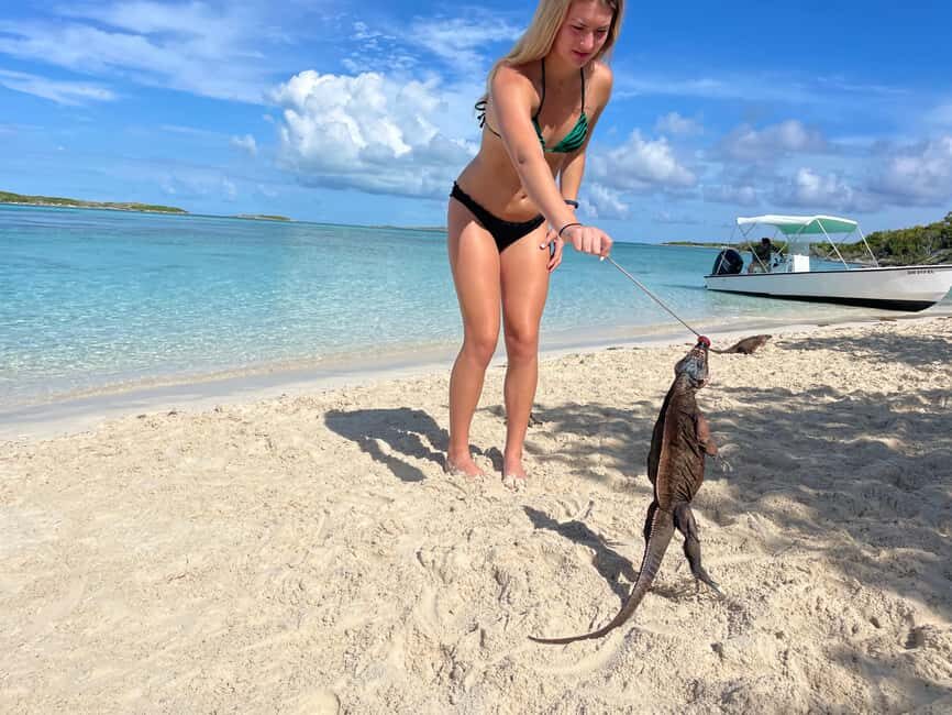Nassau: 3 Islands Boat w/ Swimming Pigs, Snorkeling & Turtle - Who this tour suits best (and who should skip it)