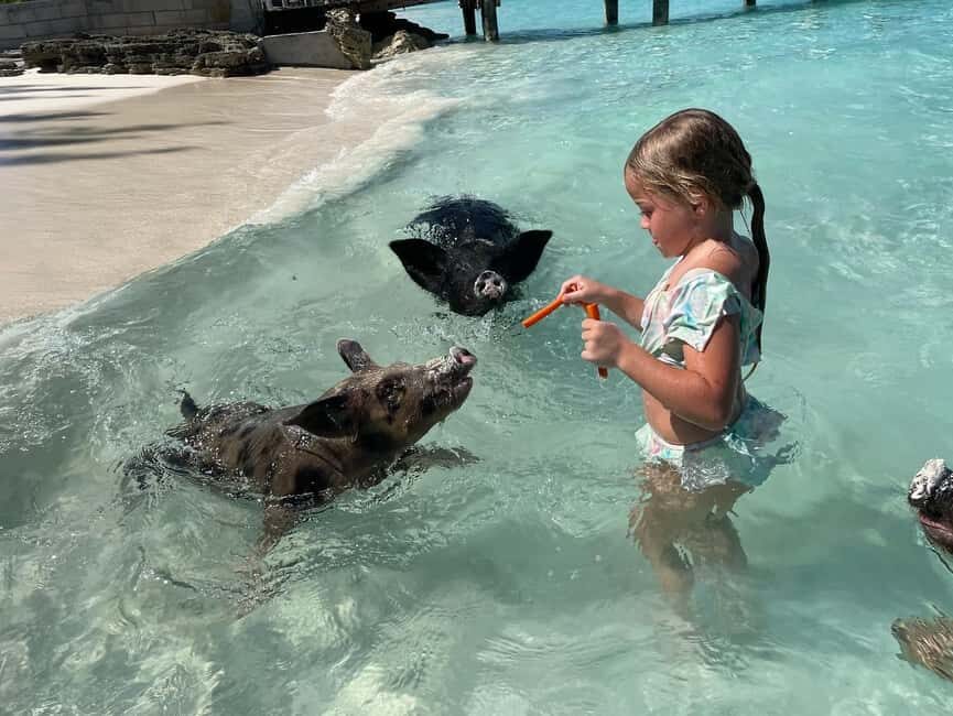 Nassau: 3 Islands Boat w/ Swimming Pigs, Snorkeling & Turtle - Pearl Island snorkeling: reef fish time with mask included