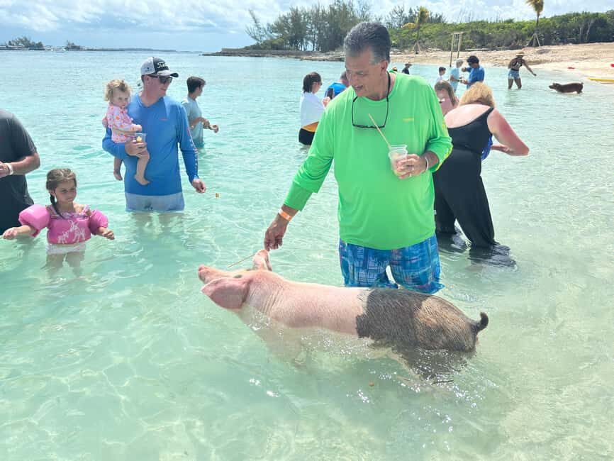 Nassau: 4-Island Tour Swimming Pigs, turtles, snorkeling - Key Highlights You Should Know Before You Go