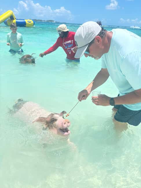 Nassau: 4-Island Tour Swimming Pigs, turtles, snorkeling - Nassau’s 4-Island Plan: How the Day Fits Into 4 Hours