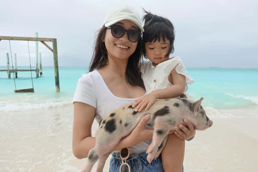 Nassau ATV & Swimming Pigs Tour - Key Highlights Worth Noticing