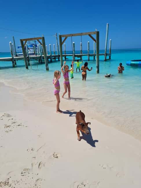 Nassau ATV & Swimming Pigs Tour - Nassau’s Eastern Shores and the Go-Slow Bend: Getting the Views Without Waiting