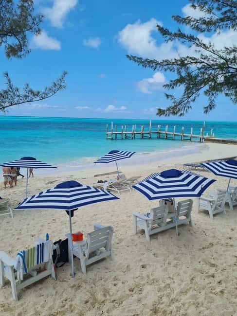 Nassau ATV & Swimming Pigs Tour - Arawak Cay and Gone Fishn’: Conch Culture With Real Flavor