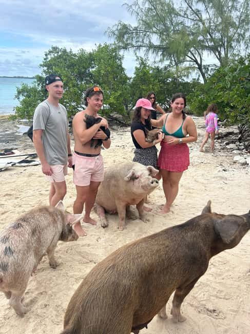 Nassau Bahamas: Jetcar Excursion to Pig Island Tour $450 - Key takeaways before you go