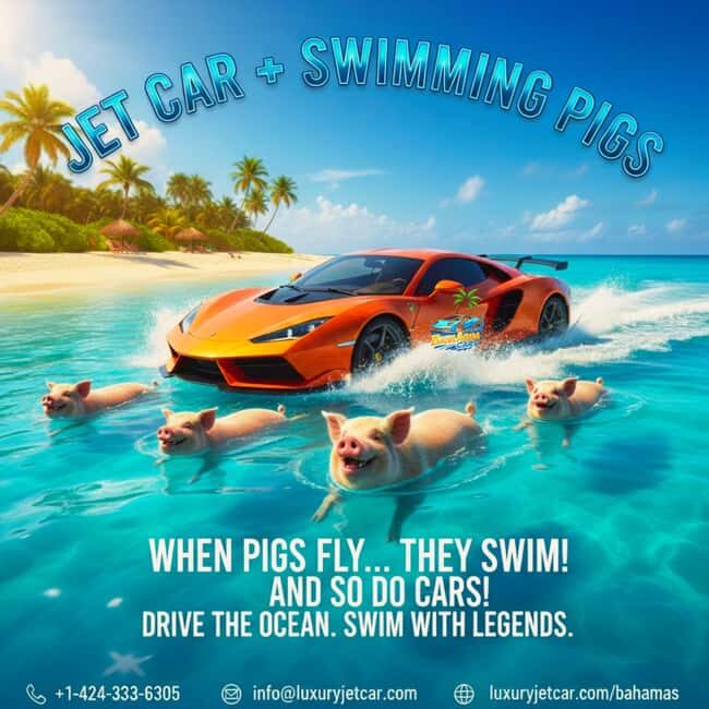 Nassau Bahamas: Jetcar Excursion to Pig Island Tour $450 - Athol Island (Pig Island): feeding pigs and a focused 50-minute window
