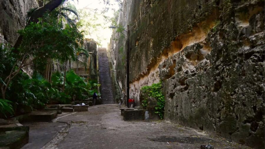 Nassau City Tour: Discover the Charms of Old Charles Town - Guide Power: Why Lennox and Phillip Got Mentioned