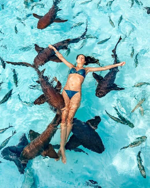 Nassau: Discover Exuma Island Hopping and Swimming Pigs Tour - What to bring and quick rules that keep the day smooth