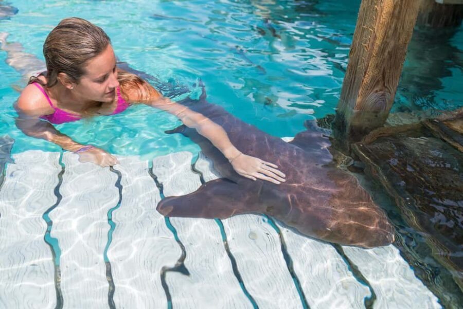 Nassau: Discover Exuma Island Hopping and Swimming Pigs Tour - Big Major’s Cay: swimming pigs and pig-feeding time