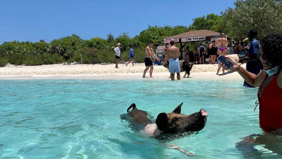 Nassau: Discover Exuma Island Hopping and Swimming Pigs Tour - Lunch break that actually refuels you