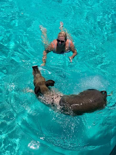 Nassau: Discover Exuma Island Hopping and Swimming Pigs Tour - Final Exuma swim or sandbar time: the last reset for the day