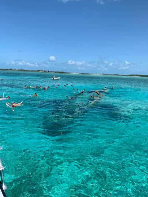 Nassau: Discover Exuma Island Hopping and Swimming Pigs Tour - Price and value: what 489 per person includes (and why it matters)