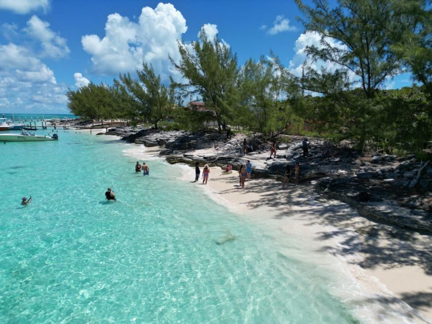 Nassau: Half-Day Guided Cay Cruise, Sea Life Watch & Snorkel - Blue Lagoon Island: dolphins and sea lions viewing (no touching)