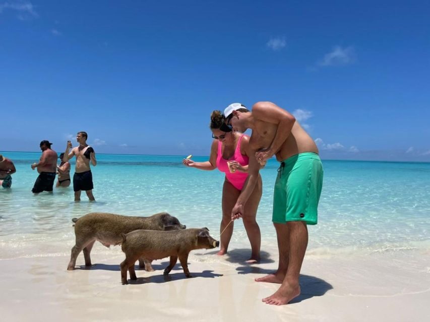 Nassau: Half-Day Guided Cay Cruise, Sea Life Watch & Snorkel - What to bring (and what to leave at home)