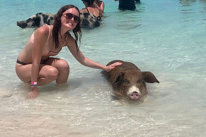 Nassau: Half Day Reef Snorkeling, Turtles & Swimming Pigs - Key things I’d bank on before you go