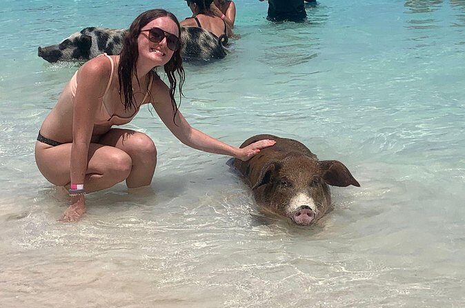Nassau: Half Day Reef Snorkeling, Turtles & Swimming Pigs - Sea turtles: the best way to see them (and not ruin the moment)