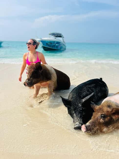 Nassau: Half-Day Swimming Pigs, Reef Snorkel & Beach Club - Key Things I’d Book This For