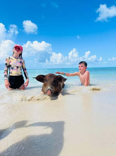 Nassau: Half-Day Swimming Pigs, Reef Snorkel & Beach Club - Green Cay Turtle Watching: Short Stop, Wildlife Focus