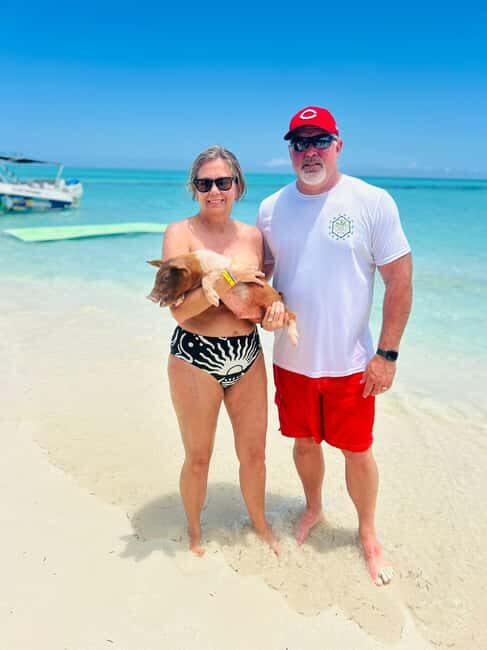 Nassau: Half-Day Swimming Pigs, Reef Snorkel & Beach Club - Rose Island: Swimming Pigs + Beach Club Time You Can Actually Relax At