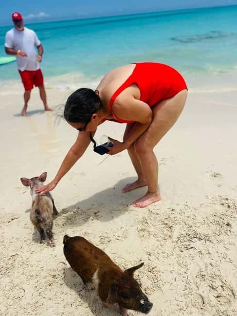 Nassau: Half-Day Swimming Pigs, Reef Snorkel & Beach Club - Speedboat Transfers: Comfort, Time-Saving, and Sea-Condition Reality