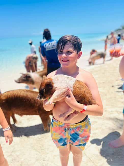 Nassau: Half-Day Swimming Pigs, Reef Snorkel & Beach Club - What to Know Before You Go (So You Don’t Miss the Good Parts)