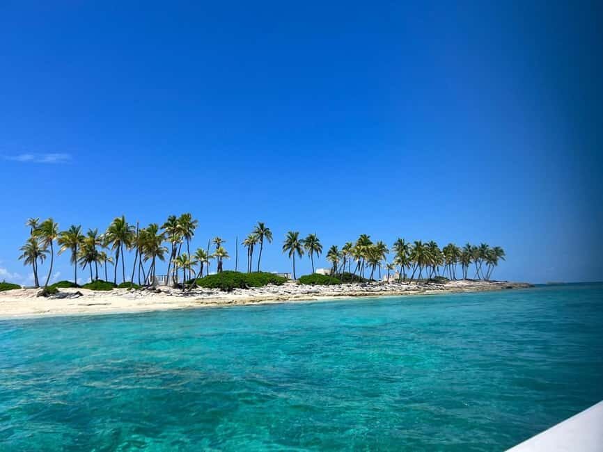 Nassau: Island Hopping Boat Trip with Lunch & Drinks - Green Cay: Sea Turtle Swimming and Why You Should Expect Variability