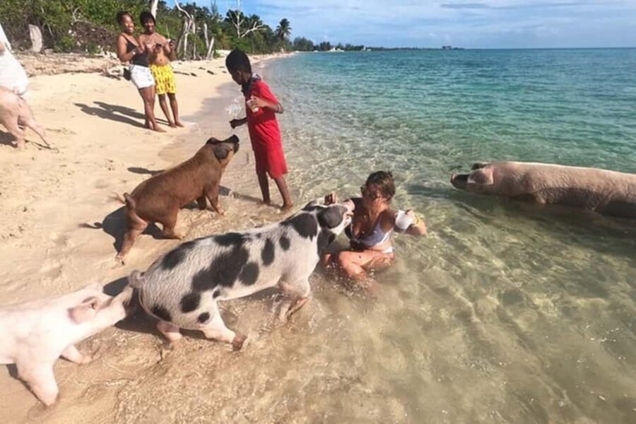Nassau: Island Hopping Boat Trip with Lunch & Drinks - Pickup Timing and What It Means for Your Day