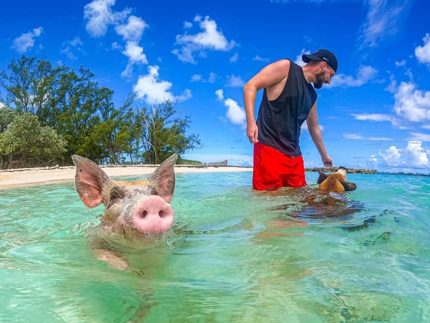 Nassau: Pigs Beach Trip by Boat with Swimming and Feeding - The Boat Ride to Athol Island: Short, Scenic, Shared