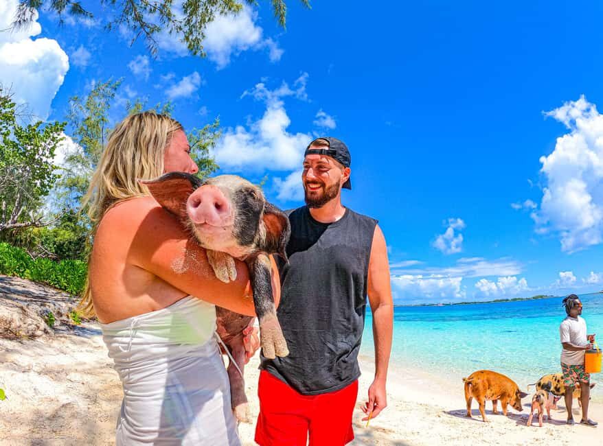 Nassau: Pigs Beach Trip by Boat with Swimming and Feeding - Price and Value: Is $79 Worth It?