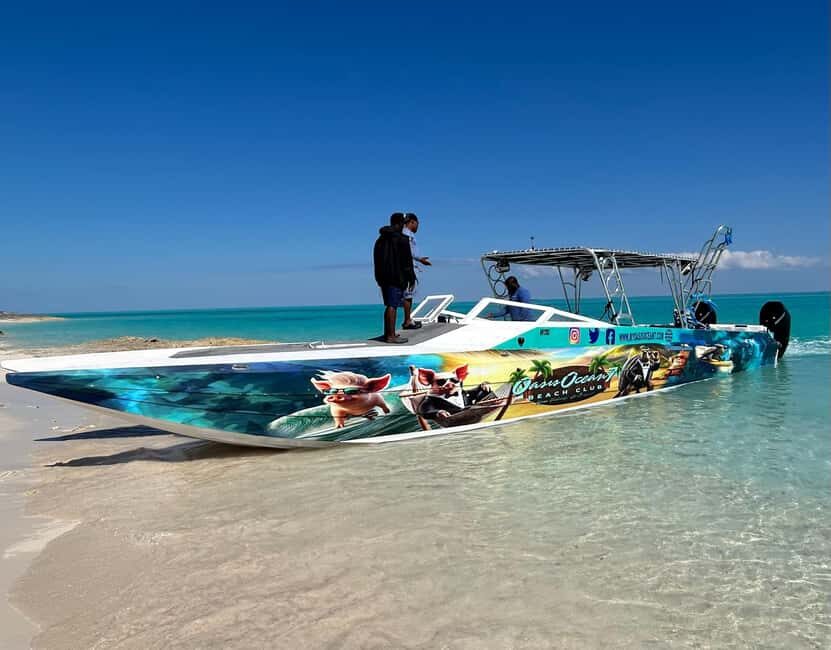 Nassau: Pigs, Snorkel, Turtles, Lunch, Private Beach Club - Who This Tour Suits Best (and Who Should Skip It)