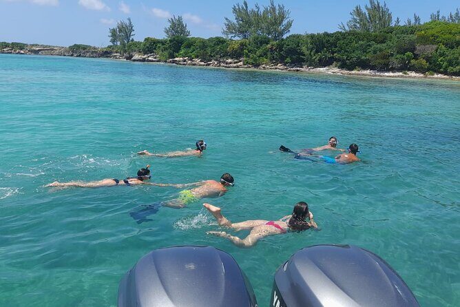 Nassau, Private Swimming Pig, Island Hopping, Snorkeling, Turtles - Gilligan’s Island: Quick Sandy-Cay Photos Without the Hassle
