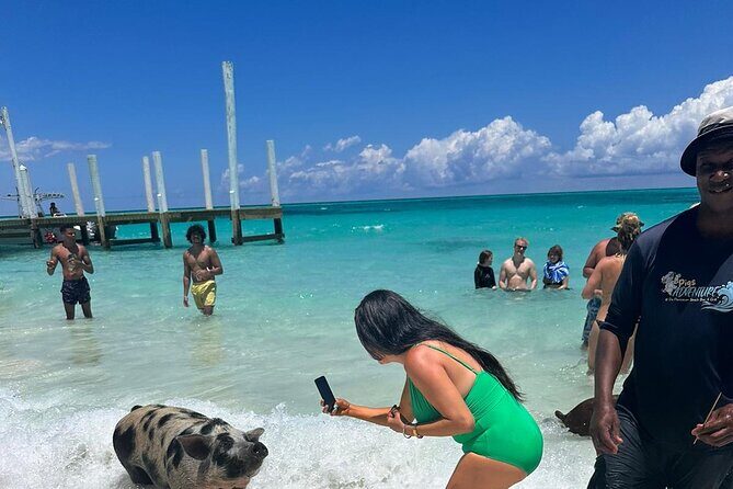 Nassau, Private Swimming Pig, Island Hopping, Snorkeling, Turtles - Green Cay Turtle Time and Snorkel-Friendly Reefs
