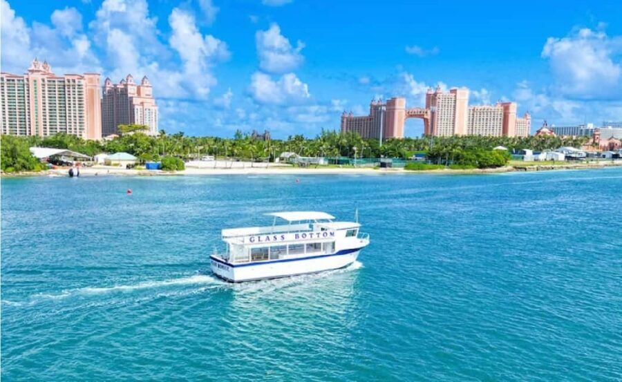 Nassau: Reef Glass Bottom & Snorkel Tour - A 60-Foot Double-Decker With a Real Glass-Bottom View