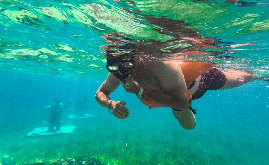 Nassau: Reef Glass Bottom & Snorkel Tour - Sea Garden National Park: Feeding Fish First, Then Swimming in Shallow Water