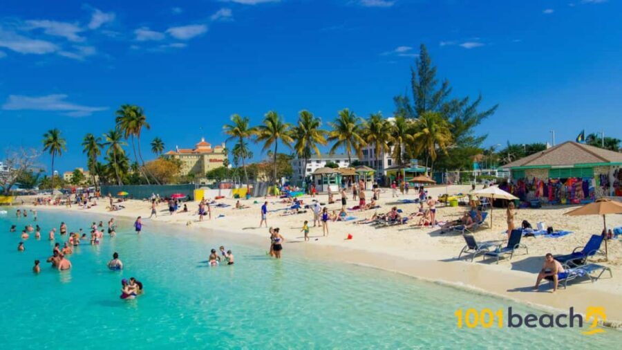 Nassau: Self Drive Speed Boat & Guided ATV Tour + Free Lunch - Value check: is $275 fair for ATV + speed boat + lunch?