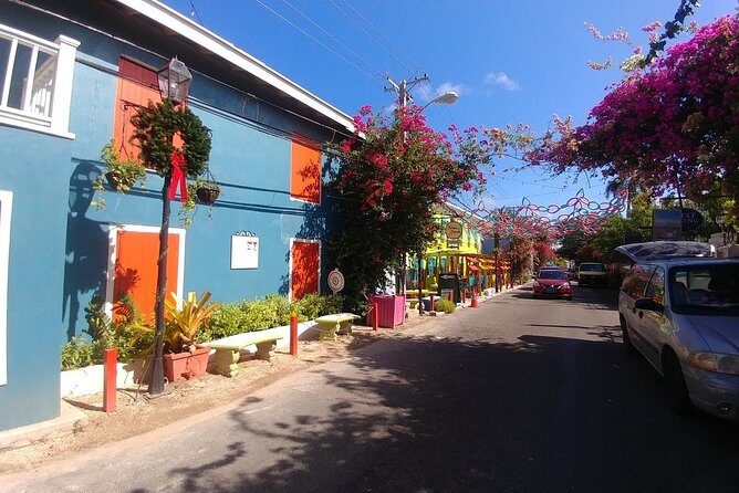 Nassau Shore Excursion: Sightseeing and Snorkeling Tour - From the cruise port to Nassau highlights in one smooth loop