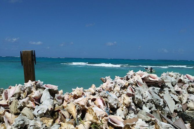 Nassau Shore Excursion: Sightseeing and Snorkeling Tour - What the $220 price covers (and where the value shows)