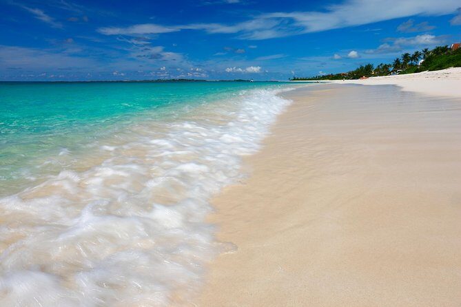 Nassau Shore Excursion: Sightseeing and Snorkeling Tour - Queen’s Staircase and Bennet’s Hill: the walk-or-stay choice