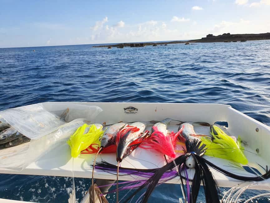 Nassau: Sport-fishing private charter . - Key points to know before you book