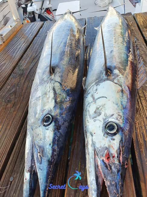 Nassau: Sport-fishing private charter . - The core itinerary: how a 4-hour fishing charter usually unfolds