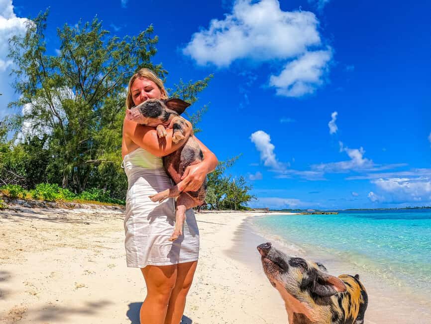 Nassau: Sun Cay and Swimming Pigs Boat Trip with Lunch - Who should book this Nassau swimming pigs and Sun Cay tour