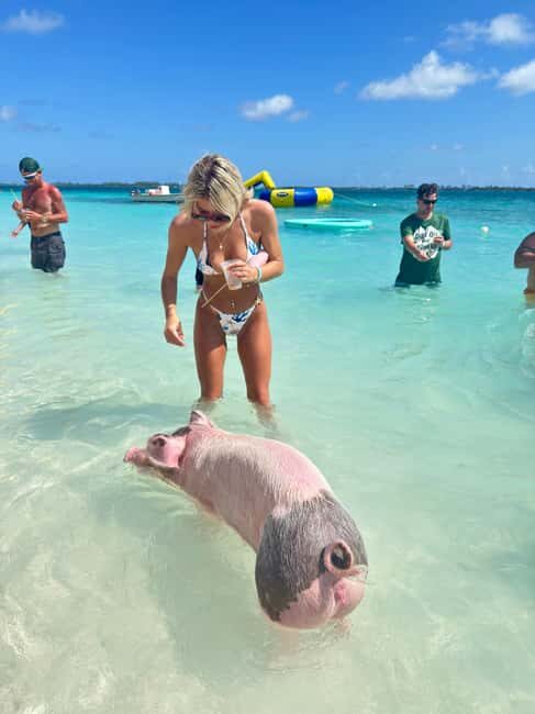 Nassau: Swimming Pigs and Turtles Boat Tour with Snorkeling - Green Cay turtle sightings: watching, not chasing