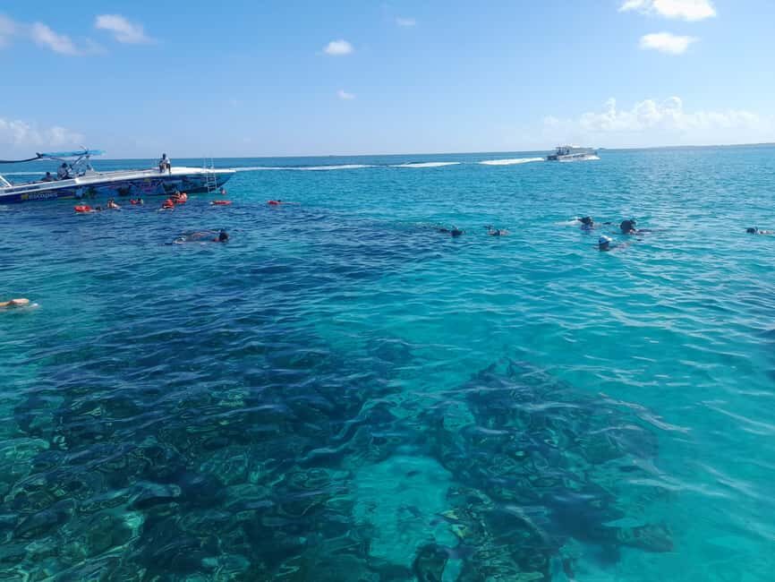 Nassau: Swimming Pigs Private Boat Tour - Up to 7 Persons - Nassau Pig Beach and Green Cay in one private boat ride