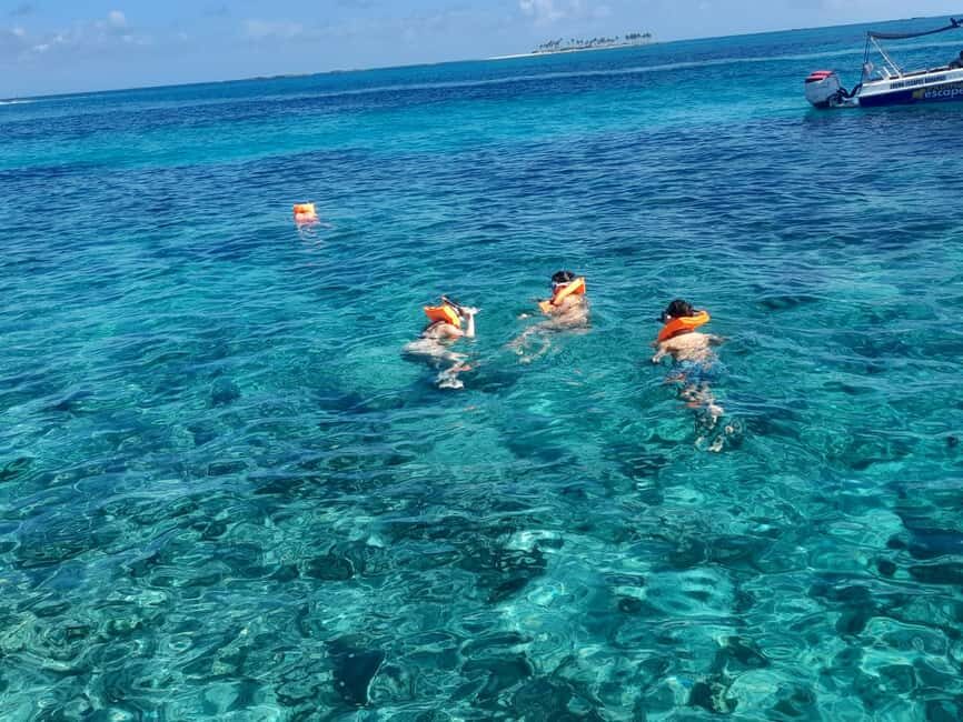 Nassau: Swimming Pigs Private Boat Tour - Up to 7 Persons - Where you meet and what the boat setup feels like