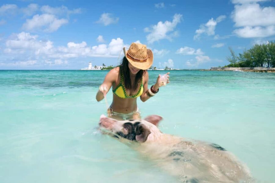 Nassau: Swimming Pigs, Snorkeling, Lunch, & Beach Boat Tour - Getting to Bahamas Jet Boat: the Bay Street meet-up that saves time