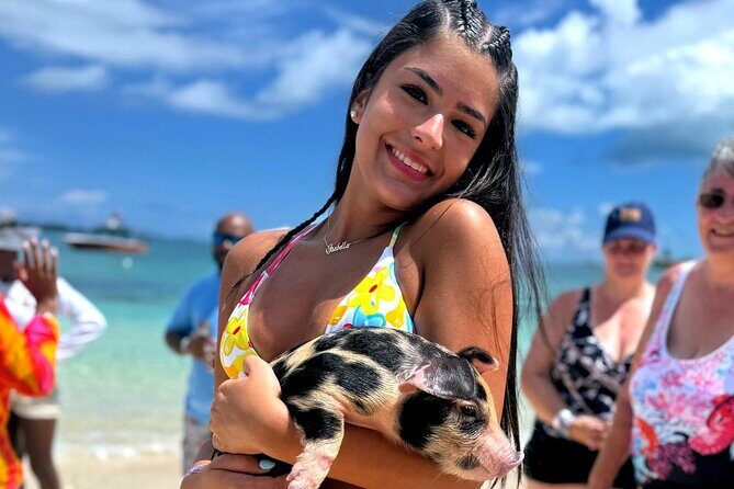 Nassau Swimming Pigs: Snorkeling, Lunch & Private Beach Club - Key Highlights You’ll Actually Care About