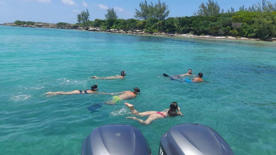 Nassau: Swimming with Pigs, Snorkeling, and Sightseeing Tour - Who This Tour Fits Best (and Who Should Skip It)