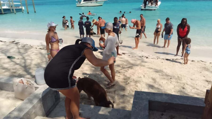 Nassau: Swimming with Pigs, Snorkeling, and Sightseeing Tour - Paradise Island Waterfront Views From the Sea