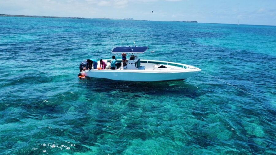 Nassau: Swimming with Pigs, Snorkeling, and Sightseeing Tour - Pearl Island and Rainbow Reefs Snorkeling Stop