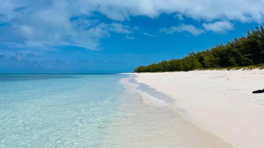 Nassau: Swimming with Pigs, Snorkeling, and Sightseeing Tour - Nassau Beach Time, Wildlife Viewing, and Staying Present
